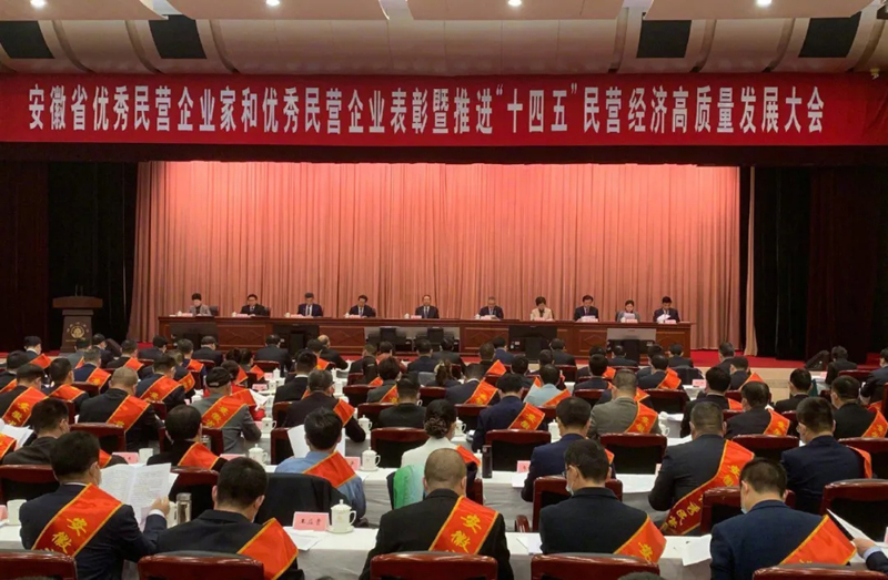 喜讯！yL23411永利官网登录科技总经理梁燕被授予“安徽省优秀民营企业家”称号